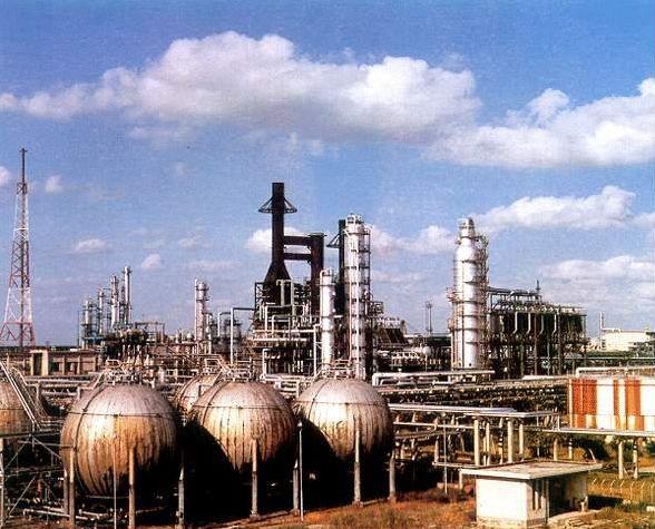 建國后最大間諜案:廣州機(jī)場(chǎng)截獲2只老鼠,體內(nèi)藏絕密情報(bào)?